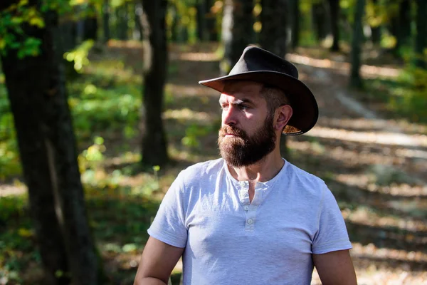 Estilo vaquero. hombre hipster relajarse en el bosque de otoño. Primavera tiempo soleado. camping y senderismo. macho maduro con mirada brutal. Hombre barbudo con sombrero de vaquero caminar en el parque al aire libre. hipster brutal grave — Foto de Stock