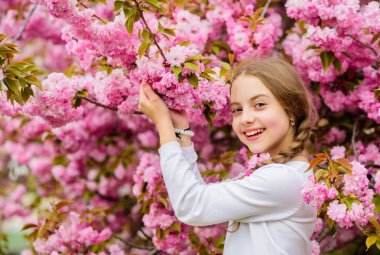 Parlak ve canlı. Pembe benim favorim. Küçük kız baharın tadını çıkarıyor. Sakura ağacının pembe çiçekleri üzerinde bir çocuk. Pembe kiraz çiçeklerinin tadını çıkaran bir çocuk. Yumuşak bir çiçek. Pembe en kadınsı renktir.