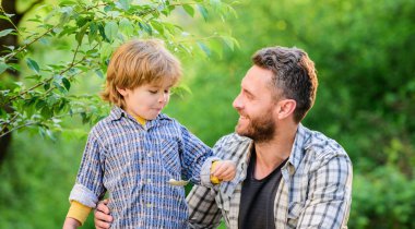 Babamla her şey daha eğlenceli. Organik beslenme. Sağlıklı beslenme kavramı. Beslenme alışkanlıkları. Çocuk kaşık tutuyor. Aile ev yapımı yemeklerin tadını çıkarır. Beslenme çocuklar ve yetişkinler. Küçük çocuk ve baba yemek