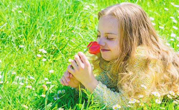 子供は、草原に横たわっている間チューリップの香りをお楽しみください。草地、草背景に横になっている長い髪を持つ少女。幸せそうな顔の女の子は、日当たりの良い春の日の赤いチューリップの花を保持します。春の利益概念 — ストック写真