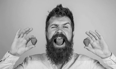 Biz ne yemek vardır. Adam berry tat tadını çıkarın. Berry ağız hipster sakallı. Hipster neşeli sulu çilek tadını çıkarın. Çilekli tatlı tadı kavramı. Oğlan yakışıklı hipster uzun sakal yiyecek çilek