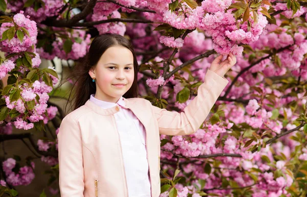 Cute dziecko cieszyć się naturą w dniu wiosny. Koncepcja kwitnienia aromatycznego. Dziewczyna turystyczny stwarzające w pobliżu Sakura. Delikatny rozkwit. Dziecko na różowe kwiaty z drzewa Sakura tle. Dziewczyna korzystających kwiat wiśni lub Sakura — Zdjęcie stockowe