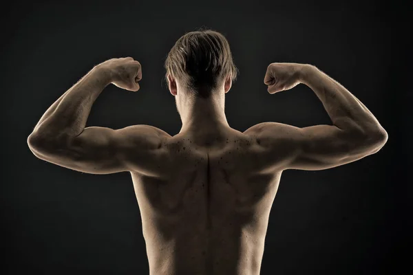 Culturista con busto in forma, vista posteriore. Atleta uomo flex muscoli del braccio. Gli sportivi mostrano bicipiti e tricipiti. Allenamento e attività di allenamento in palestra. Concetto di potenza e forza — Foto Stock