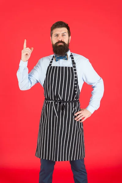 Je sais tout de la cuisine. Un homme barbu cuisinier. Hipster cuisine maison ou restaurant. Concept de café moderne. Cuisiner des repas modernes. Homme avec barbe cuisinier tablier hipster. Chef cuisinier fond rouge — Photo