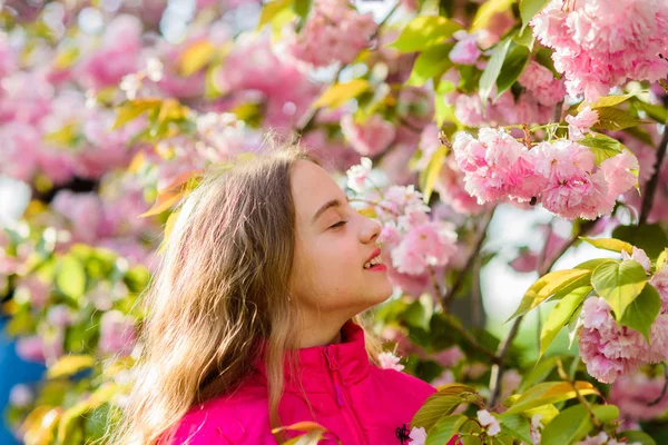Lycklig tjej i körsbärsblomma. Sakura träd blommar. Hudvård. Naturkosmetik för huden. sommarlov. Barndoms skönhet. liten flicka i vårblomma Bloom. Blossom lukt, allergi. Omöjlig doft — Stockfoto