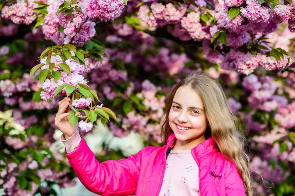 Tavaszi Style. Nyári. Gyermekkori szépséget. bőrápoló Spa. Természetes kozmetikumok a bőr. boldog lány cseresznyevirág. Sakura fa virágzó. kis lány gyermek tavaszi virág virágzik. virág illata, allergia — Stock Fotó