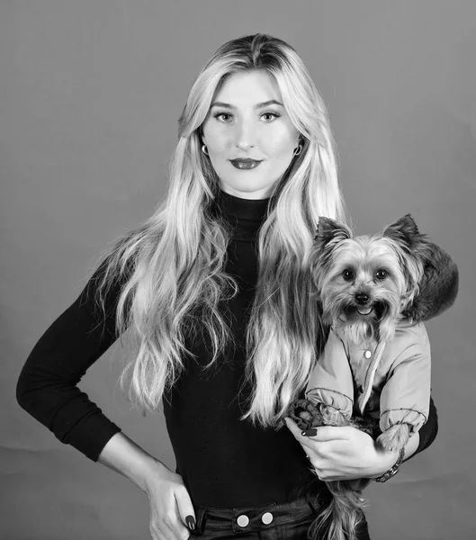 Mujer llevar yorkshire terrier. Los perros necesitan ropa. Ropa y accesorios. Artículos para mascotas. Aderezo para el clima frío. ¿Qué razas de perros deben usar abrigos. Chica adorable rubia abrazo perrito en abrigo —  Fotos de Stock