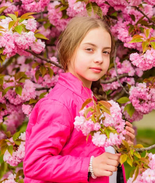 ピンクの桜を楽しむ子供。柔らかい花。ピンクは最もガーリーな色です。明るく活気に満ちた。ピンクは私のお気に入りです。桜の背景のピンクの花の子供。小さな女の子は春を楽しむ — ストック写真
