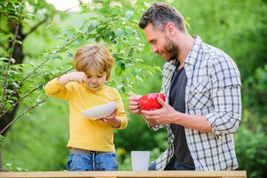 Sağlıklı beslenme kavramı. Beslenme alışkanlıkları. Aile ev yapımı yemeklerin tadını çıkarır. Kişisel örnek. Baba oğluna doğal yemek yemeyi öğretir. Küçük çocuk ve babam yemek yiyor. Beslenme çocuklar ve yetişkinler. Organik beslenme