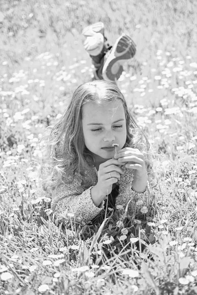 Mädchen auf Gras liegend, Graspflanze im Hintergrund. Sensibilitätskonzept. Kinder genießen das sonnige Frühlingswetter auf einer Wiese mit zarten Gänseblümchen-Blüten. Mädchen auf ruhigem Gesicht hält Gänseblümchen-Blume — Stockfoto