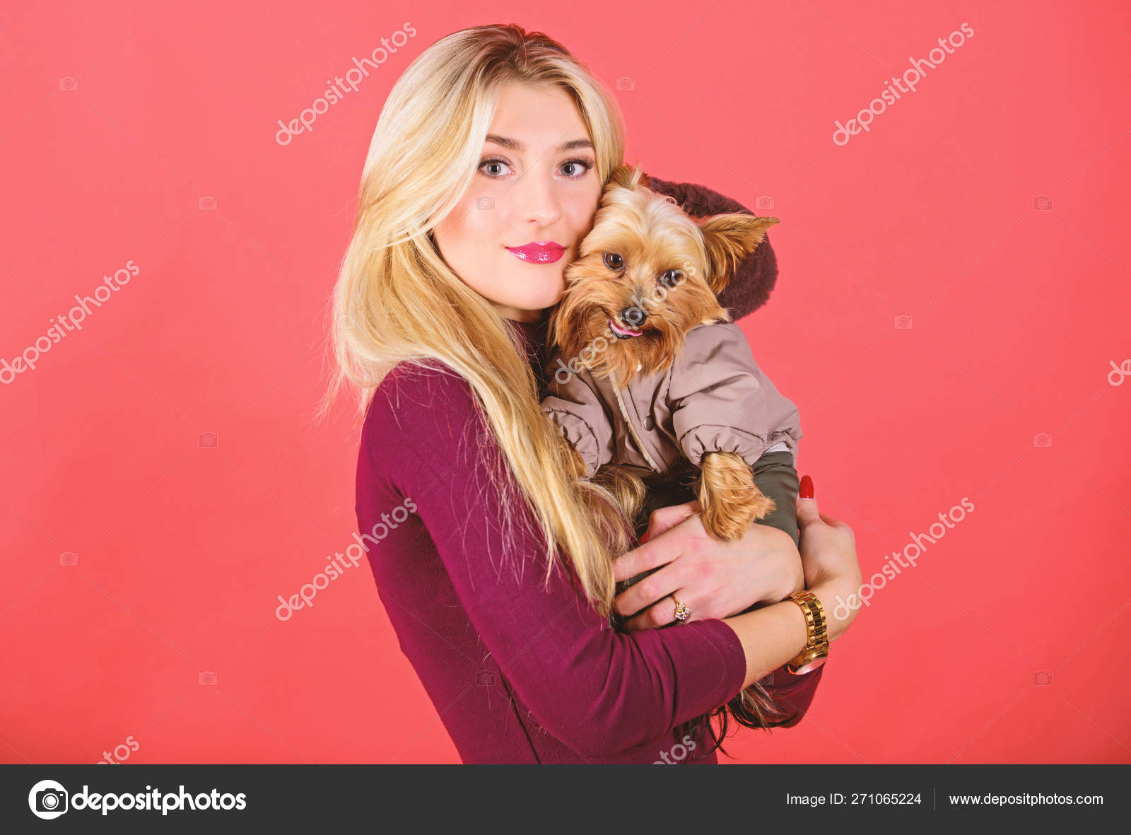 Portero autopista arco Qué razas de perros deben usar abrigos. Chica abrazo perrito en abrigo.  Mujer llevar yorkshire terrier.