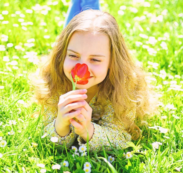 Mädchen auf Gras liegend, Graspflanze im Hintergrund. Mädchen auf lächelndem Gesicht hält rote Tulpenblume, genießt Aroma. Tulpenduft-Konzept. Kind genießt sonnigen Frühlingstag auf Blumenwiese — Stockfoto