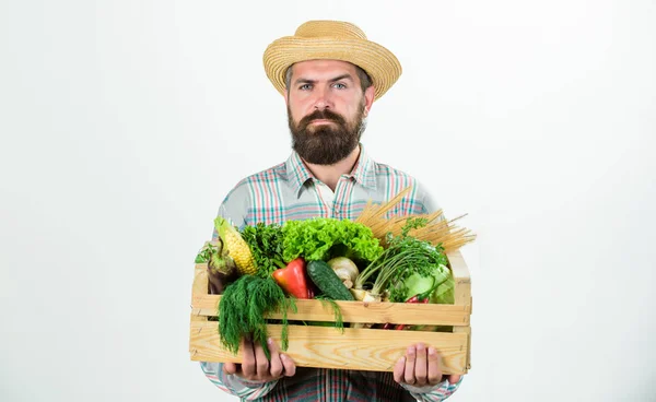 Festival de la cosecha. hombre chef con rica cosecha de otoño. alimentos vitamínicos estacionales. Frutas y hortalizas útiles. agricultor maduro barbudo. alimentos orgánicos y naturales. Feliz Halloween. Cocinar sano —  Fotos de Stock