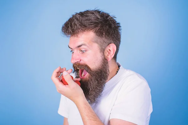 Não toques na minha baga. Hipster barbudo detém morangos na palma da mão. Homem gritando cara gananciosa faminta com barba come morangos. Homem ganancioso com fome não vai compartilhar morangos fundo azul — Fotografia de Stock