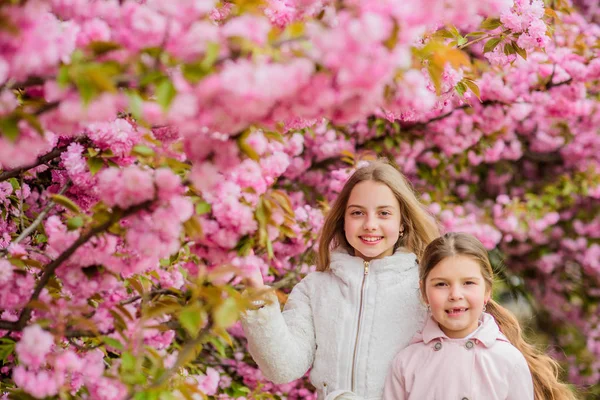 Chicas posando cerca de Sakura. Niños sobre flores rosadas de sakura fondo de árbol. Niños disfrutando de sakura de flor de cerezo. Concepto botánico. Flores suaves nubes rosadas. Los niños disfrutan de la primavera. Perdido en flor — Foto de Stock