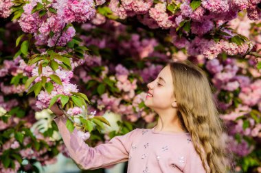 Genç ve kaygısız. Yaz. Çocukluk güzelliği. Skincare. Cilt için doğal kozmetik. bahar çiçek çiçek küçük kız çocuk. çiçek kokusu, alerji. kiraz çiçek mutlu kız. Sakura ağacı çiçeklenme
