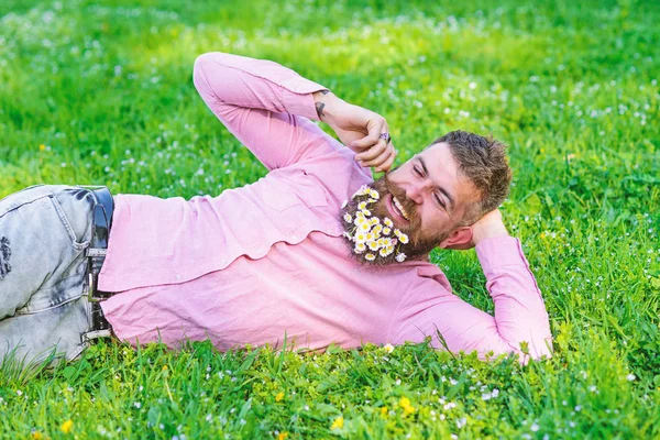 Bearded man with daisy flowers in beard lay on meadow, lean on hand, grass background. Guy with bouquet of daisies in beard twists mustache. Man with beard on happy face enjoy nature. Flirt concept