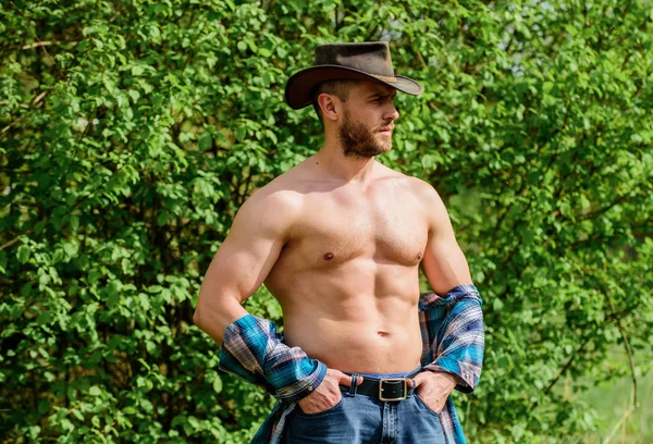 Macho six packs torso wear rustic style clothes and cowboy hat. Strong and confident cowboy. Owner of rancho. Man unshaven face muscular torso cowboy. Farm concept. Guy bearded cowboy in nature