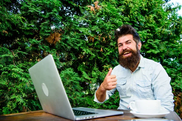 Wifi and laptop. Drink coffee and work faster. Bearded man successful freelance worker. Remote job. Freelance professional occupation. Good job expression. Well done. Hipster busy with freelance