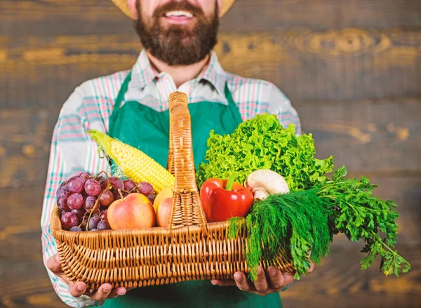 Az ember szakállas Kertész bemutató eco zöldség fa háttér. Friss biozöldségek fonott kosárban. Mezőgazdasági termelő az friss zöldségek bemutatása. Mezőgazdasági homegrown zöldség kosárban — Stock Fotó