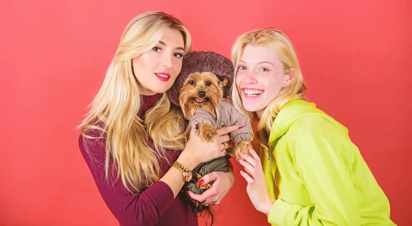 Yorkshire Terrier ras älskar socialisering. Blonda tjejer älskar söta lilla hund. Kvinnor kram yorkshire terrier. Yorkshire terrier är mycket tillgiven kärleksfull hund som längtar uppmärksamhet. Söt hund — Stockfoto