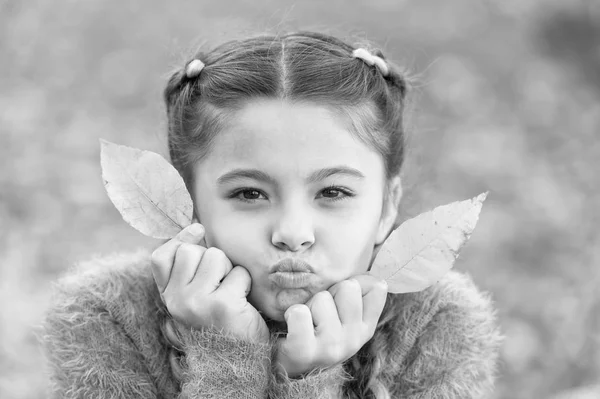 Feuilles d'automne et nature. Bonne petite fille dans la forêt d'automne. Bonne enfance. À l'école. Petit enfant avec des feuilles d'automne. Sentiment sec et protégé. Je deviens fou. Perdu dans ses pensées — Photo