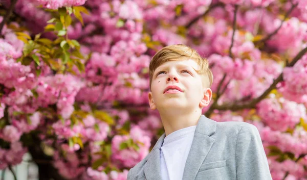 Junge modischer Teenager posiert in der Nähe von Sakura. Kind rosa Blüten von Sakura-Baum Hintergrund. Kerl genießt Kirschblütensakura. Sakura Gartenkonzept. Selbstbewusstes stilvolles Kind genießt warmen Frühlingstag — Stockfoto