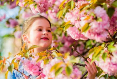 çiçek kokusu, alerji. bahar çiçek çiçek küçük kız. kiraz çiçek mutlu kız. Sakura ağacı açıyor. Skincare. Cilt için doğal kozmetik. yaz tatili. Çocukluk. Bahar tatilinin tadını çıkarma