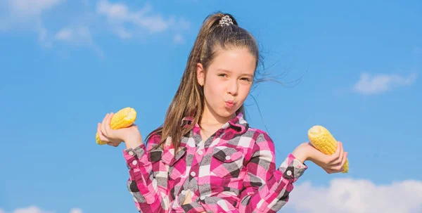 Niña sostiene mazorca de maíz amarillo en el fondo del cielo. Chica alegre mantenga granos maduros. Cosecha y diversión. A los niños les encanta la comida. Maíz vegetariano y saludable producto orgánico. Concepto de nutrición vegetariana —  Fotos de Stock