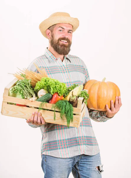Just from garden. Farmer carry box or basket harvest vegetables. Excellent quality vegetables. Grocery shop concept. Delivery service fresh vegetables from farm. Buy fresh homegrown vegetables — Stock Photo, Image