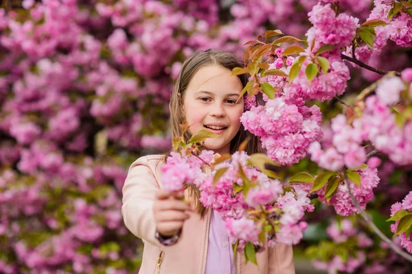 Dziecko na różowe kwiaty Sakura drzewo tło. Lekarstwo na alergie. Dziecko cieszyć się życiem bez alergii. Wąchania kwiatów. Dziewczyna ciesząc się kwiatowym aromatem. Koncepcja alergii pyłku. Kid cieszyć Cherry Blossom Sakura — Zdjęcie stockowe