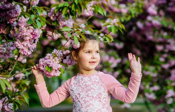 Piękny kwiat. Dziewczyna tło kwiat wiśni. Wesołych wakacji. Park i ogród. Dziewczynka w kwiecie wiosennego kwiatu. Ciesz się zapachem delikatnego, słonecznego dnia. Koncepcja kwiatu Sakura — Zdjęcie stockowe