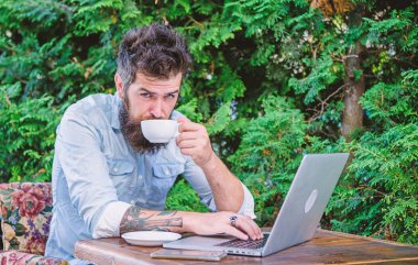 Daire tatil ya da tatil için bulmak. Tatil Planlama. Online kitap daire. Adam hipster oturup açık havada internet'te sörf ve kahve içme laptop ile sakallı. Daire arıyor adam