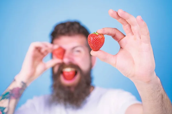 Man bearded winking with red berry, defocused. Man handsome hipster long beard eat hold strawberry. Perfect strawberry concept. Look at my berry. Hipster happy enjoy juicy strawberry blue background
