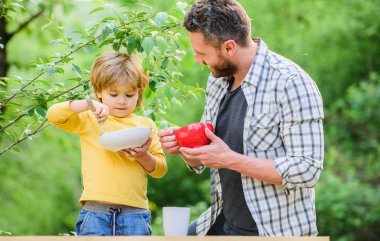 Küçük çocuk ve babam yemek yiyor. Beslenme çocuklar ve yetişkinler. Organik beslenme. Sağlıklı beslenme kavramı. Beslenme alışkanlıkları. Aile ev yapımı yemeklerin tadını çıkarır. Kişisel örnek. Baba oğluna doğal yemek yemeyi öğretiyor.