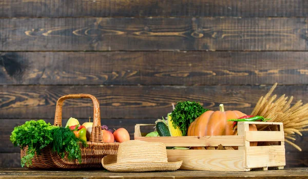 Herbsternte bringt Gemüse. Naturkost aus lokalem Anbau. Bauernmarkt. lebendiges und farbenfrohes Gemüse. Gemüse aus eigenem Anbau. Weidenkorb mit frischem Bio-Gemüse. Herbsterntekonzept — Stockfoto