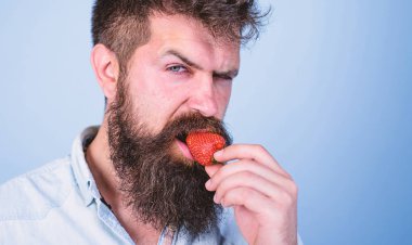 Uzun sakallı adam yakışıklı katı yüz seksi hipster çilek deneyin. Hipster sulu olgun kırmızı çilek tadını çıkarın. Adam tatlı çilek yeme. Gastronomik zevk. Arzu kavramı. Oral muamele
