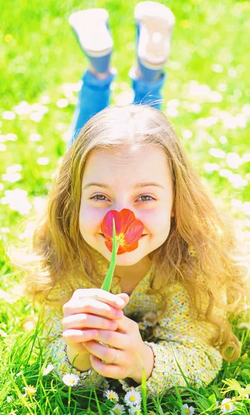 少女草の上に横たわる、背景に草のプロット。子供は花と草原に横たわっている間、春の晴れた日を楽しむ。笑顔の女の子は赤いチューリップの花を保持し、香りをお楽しみください。チューリップの香りのコンセプト — ストック写真