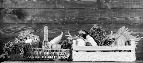 Concepto de tienda de comestibles. Servicio de entrega de verduras frescas de granja. Compre verduras frescas de cosecha propia. Sólo del jardín. Caja o cesta de cosecha verduras fondo de madera. Verduras de excelente calidad —  Fotos de Stock