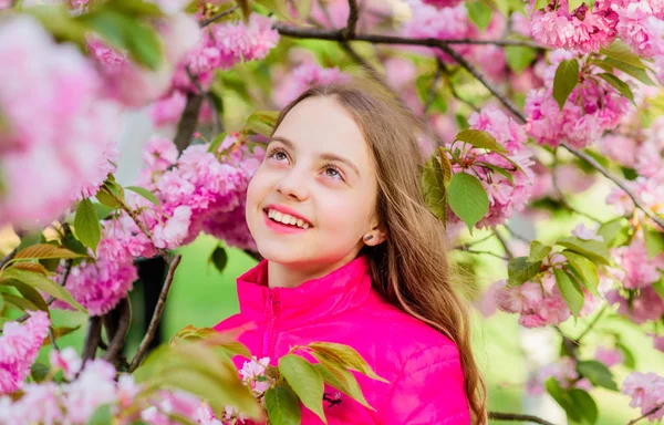 Blossom lukt, allergi. liten flicka i vårblomma Bloom. hudvårds Spa. Naturkosmetik för huden. lycklig tjej i körsbärsblomma. Sakura träd blommar. sommarlov. Barndoms skönhet. Tid att slappna av — Stockfoto