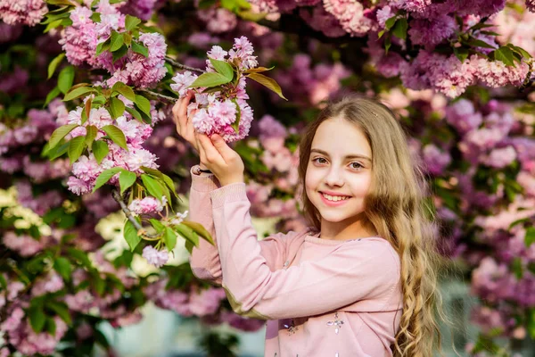 Boldog tavaszi vakáció. Park és kert. Lány kis gyermek tavaszi virág virágzik. Élvezze illata pályázat virágzás napsütéses nap. Sakura virág koncepció. Pompás virág szépség. Lány cseresznye virág háttér — Stock Fotó