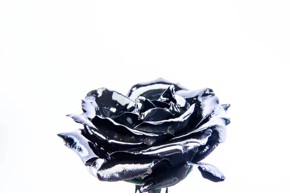 Forjando e escultura. Linda flor de prata preta. Loja de flores. Cor de aço metálico. Flor coberta de tinta metálica de perto. Flor de metal. Arte abstrata. Beleza eterna. Conceito de botânica — Fotografia de Stock