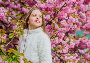 Sakura ağaç bahçesinin çocuk pembe çiçekleri. Pembe kiraz çiçeğinin tadını çıkaran çocuk. İhale çiçeklenme. Parlak ve canlı. Yumuşak ve yumuşak. Pembe aklımda. Pembe benim favorim. Küçük kız bahar ın tadını çıkarıyor