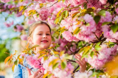 Bahar çiçek açan kız küçük çocuk. Güneşli bir gün için ihale çiçek kokusu keyfini çıkarın. Sakura çiçek konsepti. Muhteşem çiçek güzelliği. Kız kiraz çiçek arka plan. Sakura ağacı açıyor. Park ve bahçe