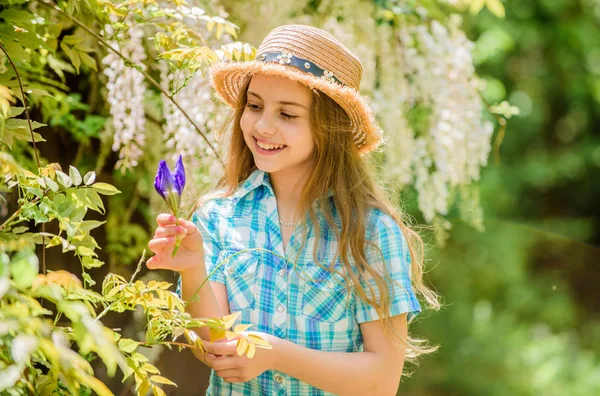 Florist. Spring holiday. Womens day. Natural beauty. Childhood happiness. happy child hold iris flower. summer vacation. Green environment. little girl and iris flower. Living in the moment Royalty Free Stock Images