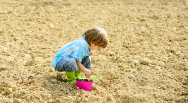 küçük çocuk bir çiçek dikim. dünya günü. yeni bir hayat. yaz çiftliği. mutlu çocuk bahçıvan. bitki fidanlığı. Bahar. ekoloji yaşamı. eko çiftlik. insan ve doğa. organik çiftlik. gezegen koruma. Çiçek uzmanı