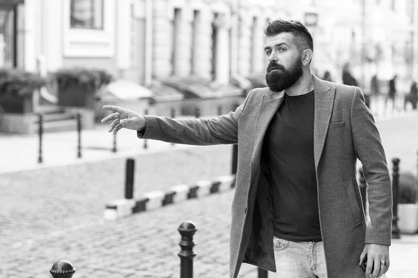 Businessman catching taxi while standing outdoors urban background. Man bearded hipster casual style waiting for taxi. Guy at street city center. Looking for transportation. Bus stop. Need a taxi — Stock Photo, Image