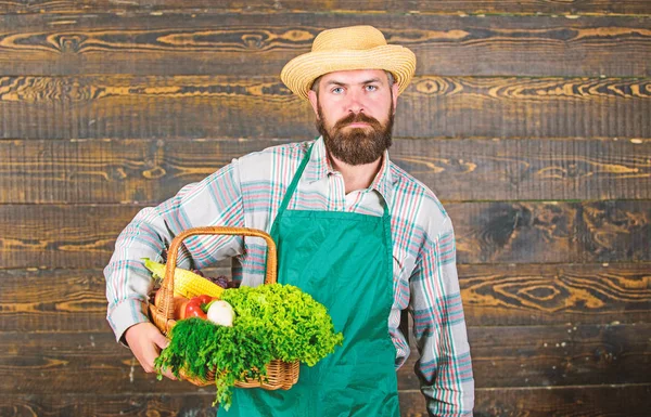 Fresh organic vegetables in wicker basket. Man bearded farmer wear apron presenting vegetables wooden background. Farm delivery fresh vegetables. Farmer hipster straw hat deliver fresh vegetables