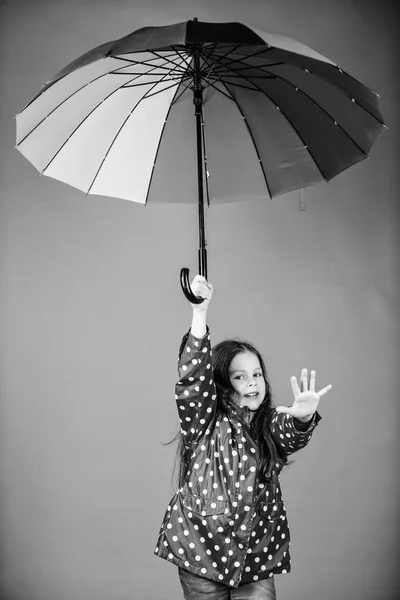 가을 패션. 비 보호. 무지개. 긍정적 인 분위기의 쾌활한 힙스터 아이. 화려한 우산행복 한 어린 소녀입니다. 비옷을 입은 어린 소녀. 그냥 재미 — 스톡 사진