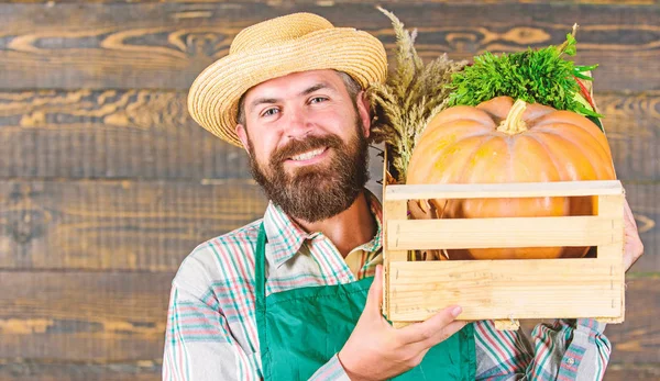 Verse biologische groenten vak. Boer stro hoed leveren verse groenten. Verse groenten verzendingsdienst. Vrolijke man met baard boer slijtage schort presenteren groenten pompoen houten achtergrond — Stockfoto